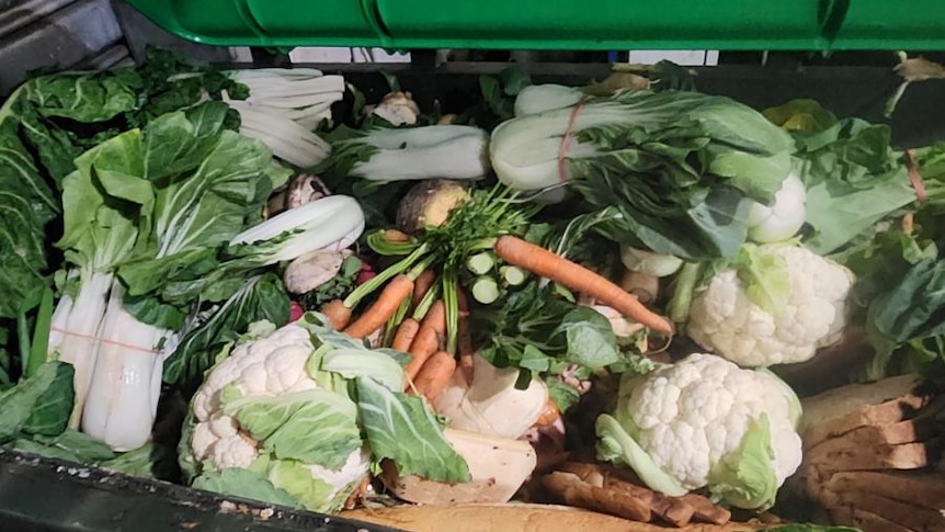 Des plongeurs de bennes à ordures de Tasmanie parlent d’un gaspillage alimentaire « massif » lors d’une enquête sur les prix des supermarchés