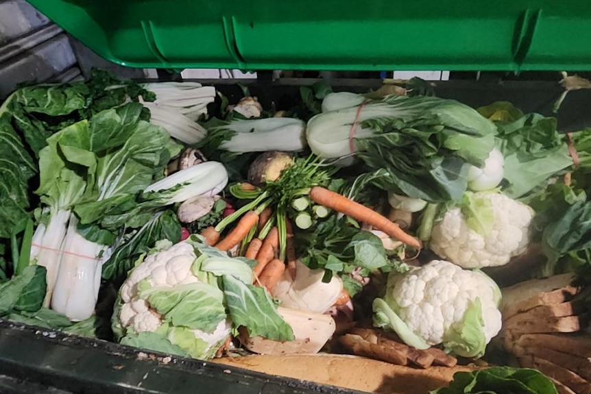 supermarket dumpster full of produce