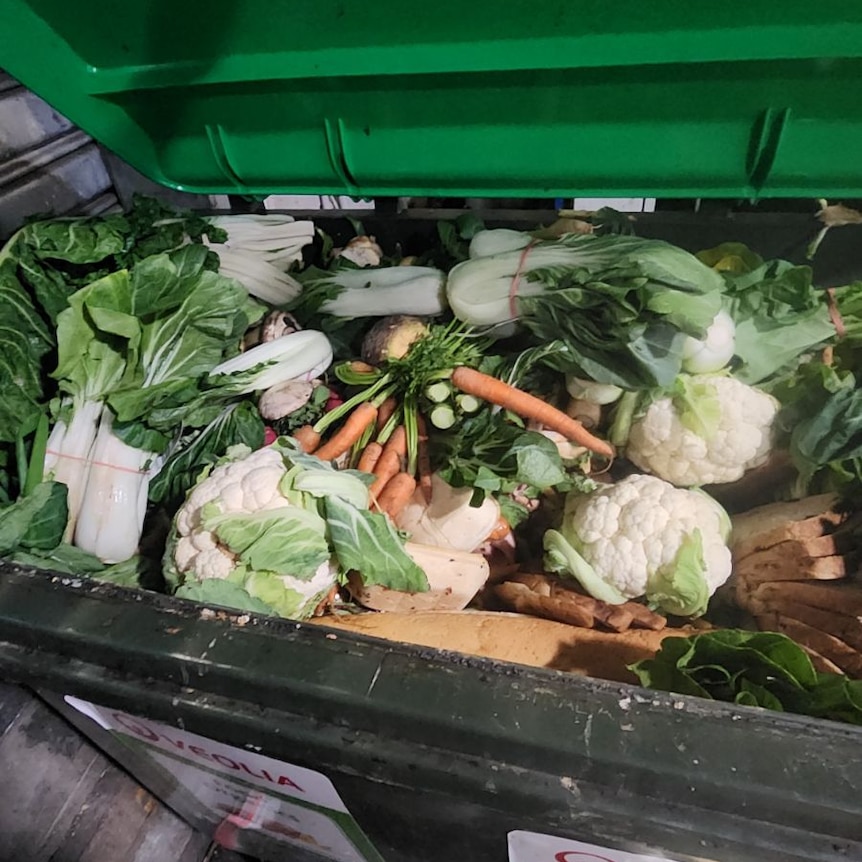 supermarket dumpster full of produce