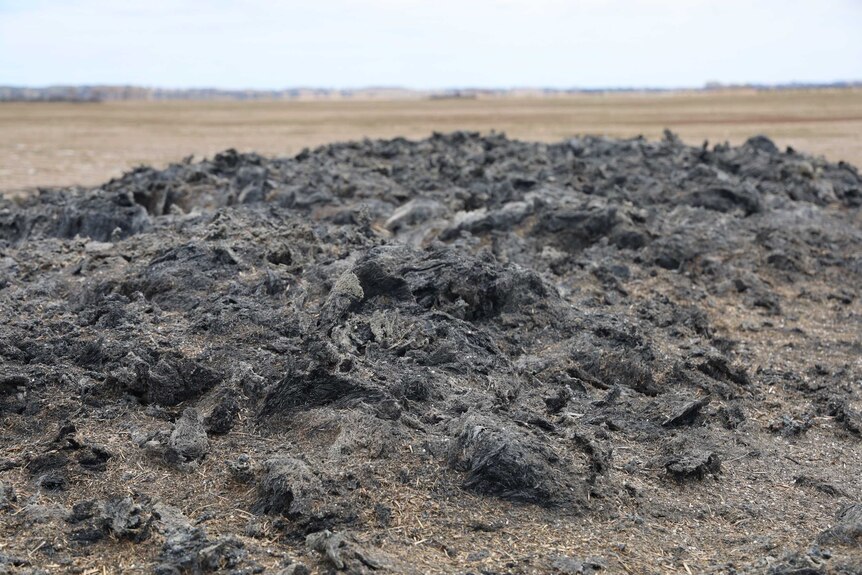Charred mound of burnt hay