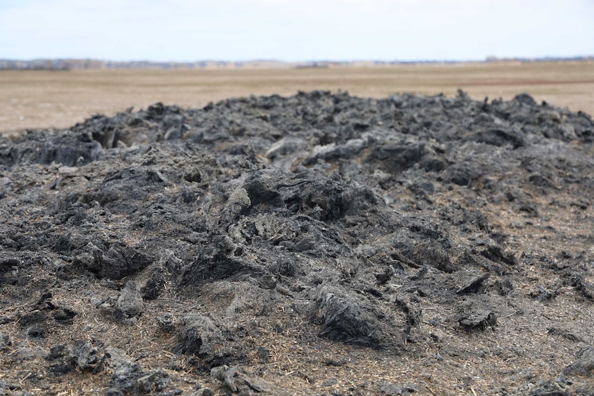 Charred mound of burnt hay