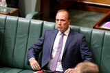 Peter Dutton in parliament