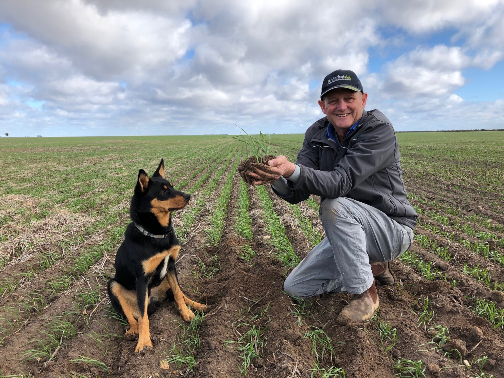 Man kneeling in a paddock, holding soil and plants while his dog looks on