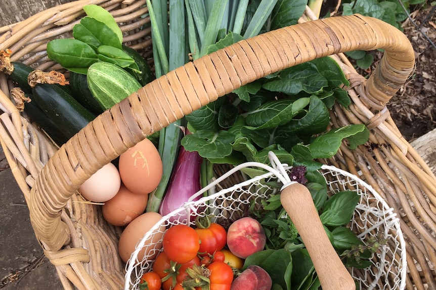 Tomatoes, eggs, spring onions and other vegetables in a basket.