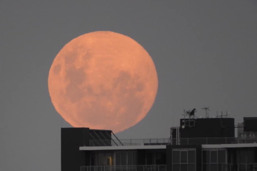 Supermoon rising over Woolloongabba in Brisbane