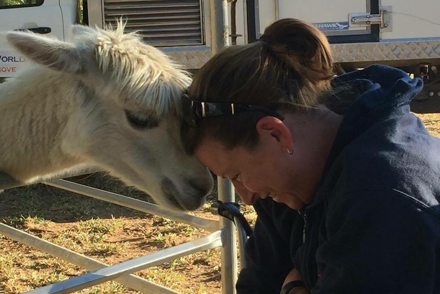 woman cuddles alpaca