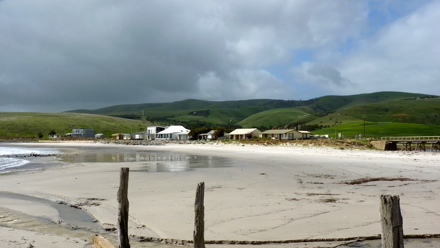 Sands of Myponga Beach, with houses and shacks along the shore