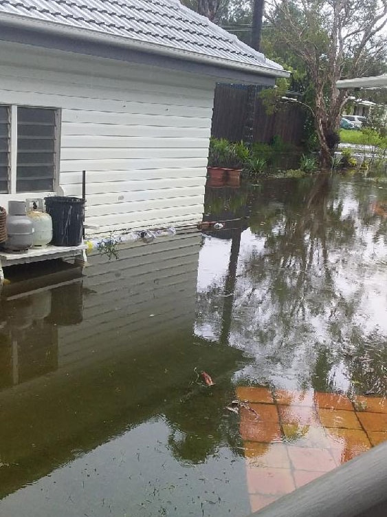 Flooded house up to windows at Jacobs Well.