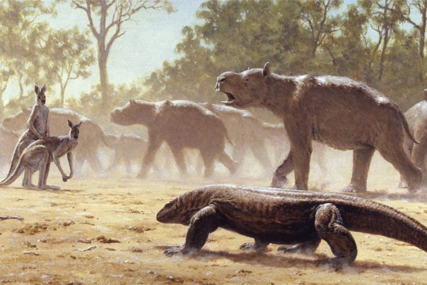 A drawing of a giant lizard, or Megalania, approaching a group of giant wombats and two kangaroos.