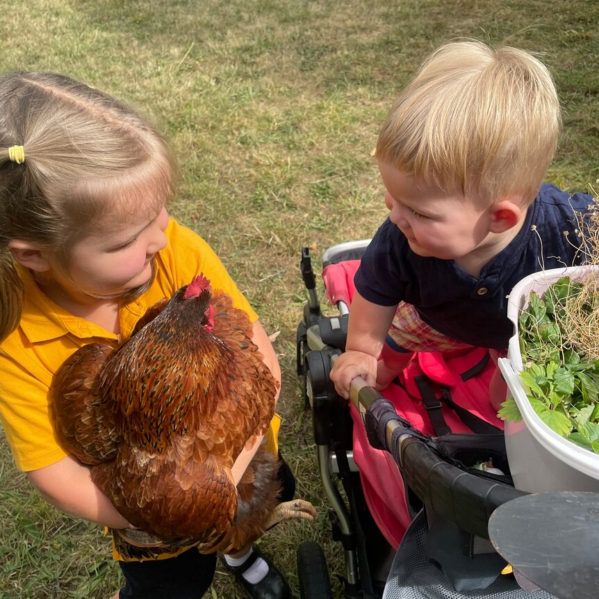 Un jeune garçon avec une fille tenant un poulet.