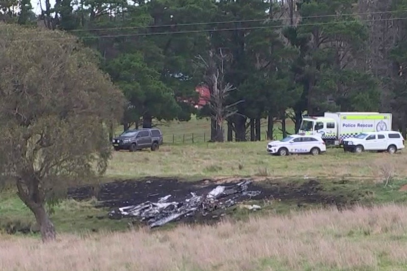 A black patch where the plane crashed can be seen in the distance, some trees, grass and fences in the foreground.