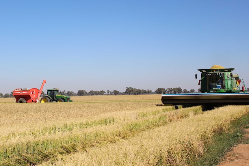 Rice harvest in Riverina in 2018