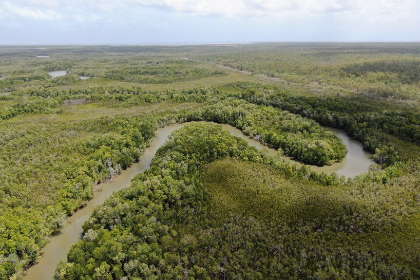 Drone shot of a NT creek