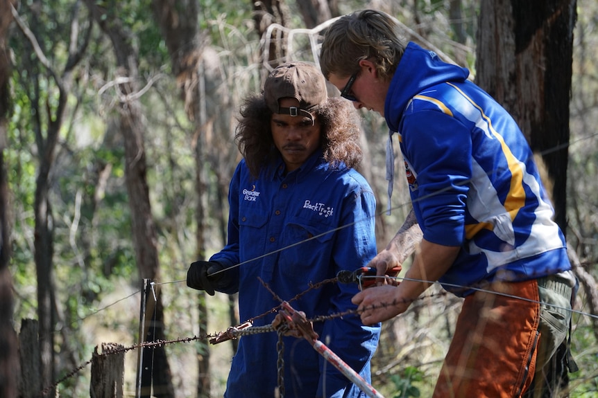 two young men working to repair a fence in bushland