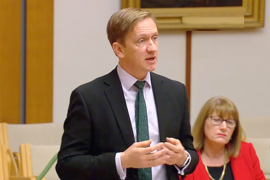 Говорейки в Камарата на федерацията, депутатът от лейбъристите Джулиан Хил призовава за разследване на Сената по въпроса за злоупотребата със зестра в Австралия.