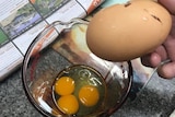 A long and large cracked egg is held above a glass measuring jug with three egg yolks in it.