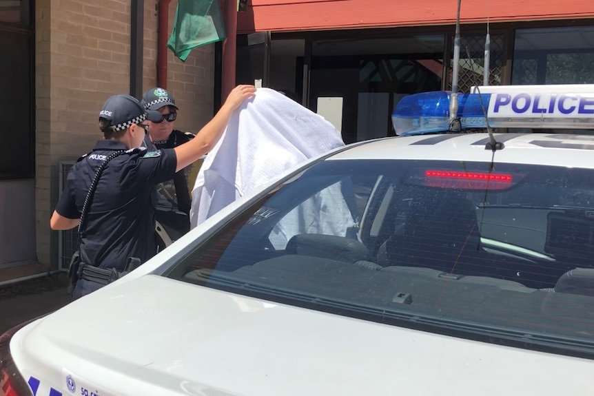 A woman is led into a police car.