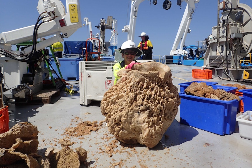 A person crouches next to a big sea sponge on the deck of a ship