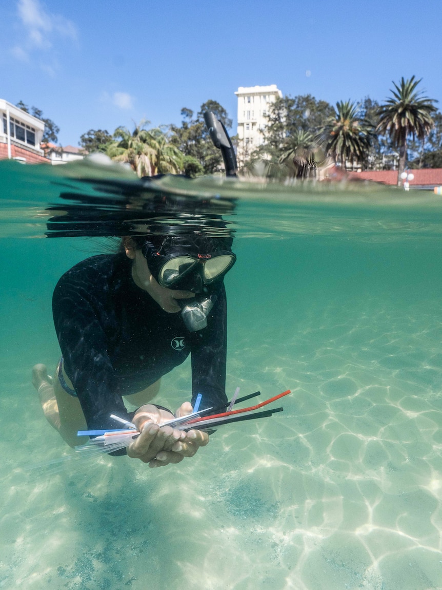 A snorkeler holding a bunch of recovered plastic straws underwater.