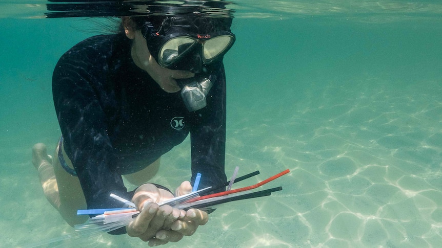 A snorkeler holding a bunch of recovered plastic straws underwater.