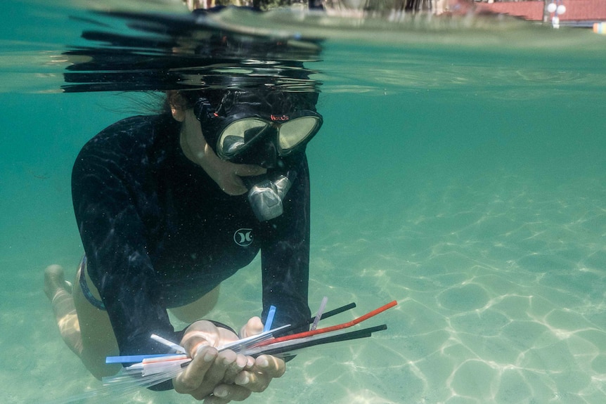 Straws collected in Manly Bay