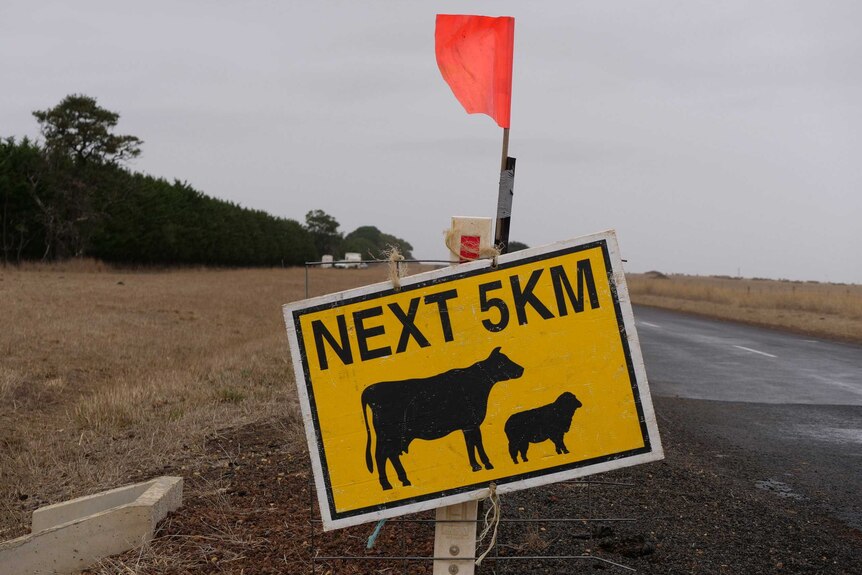 Sign with an image of cattle