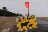 Sign with an image of cattle