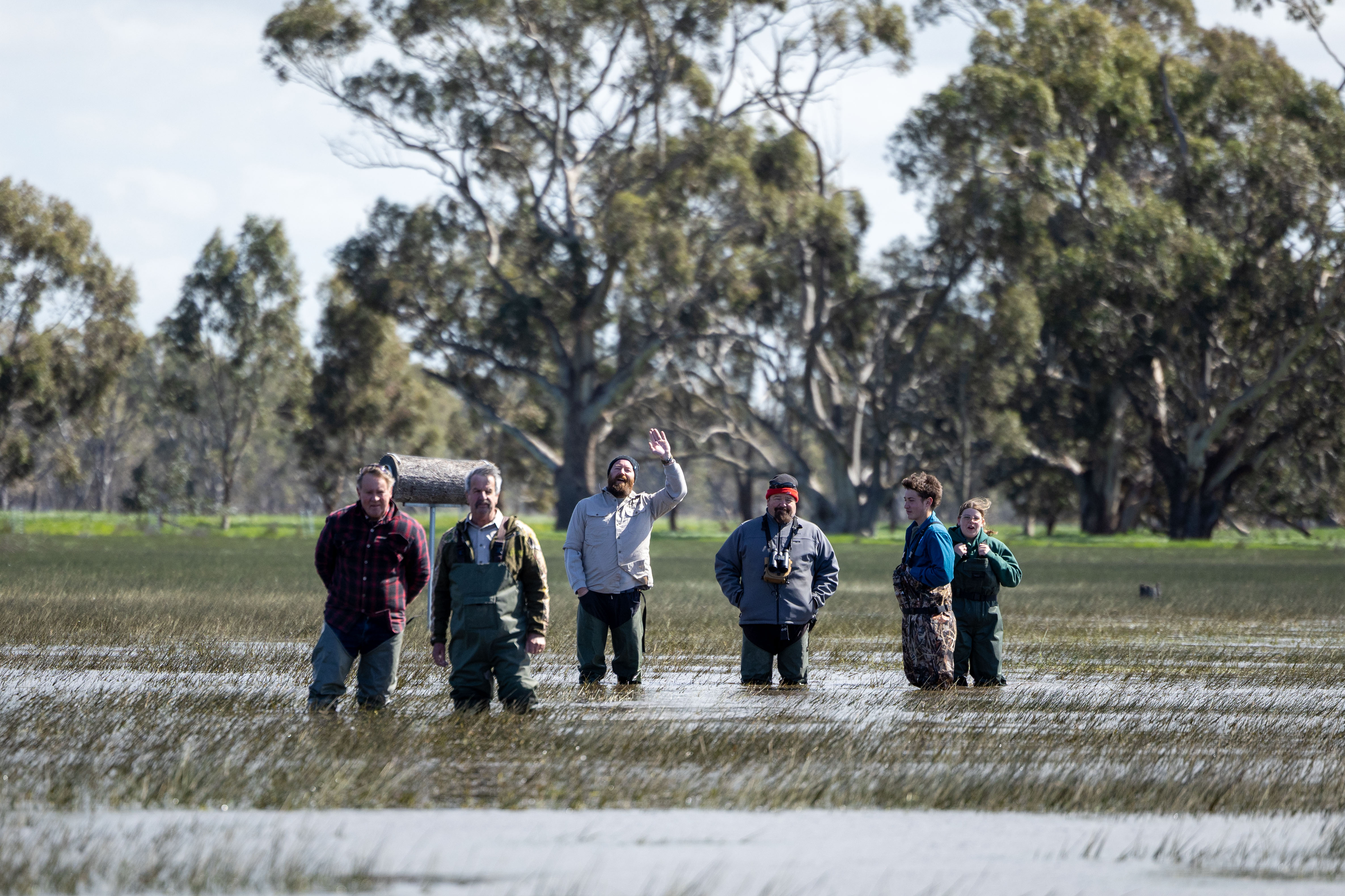 Six men stand in a wetland