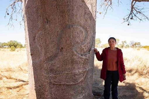 An indigenous woman stands next to a boab tree showing carving