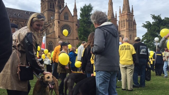 Protesters with the dogs protesting against a ban on greyhound racing in NSW.