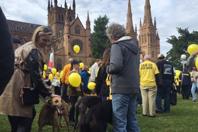 Protesters with the dogs protesting against a ban on greyhound racing in NSW.