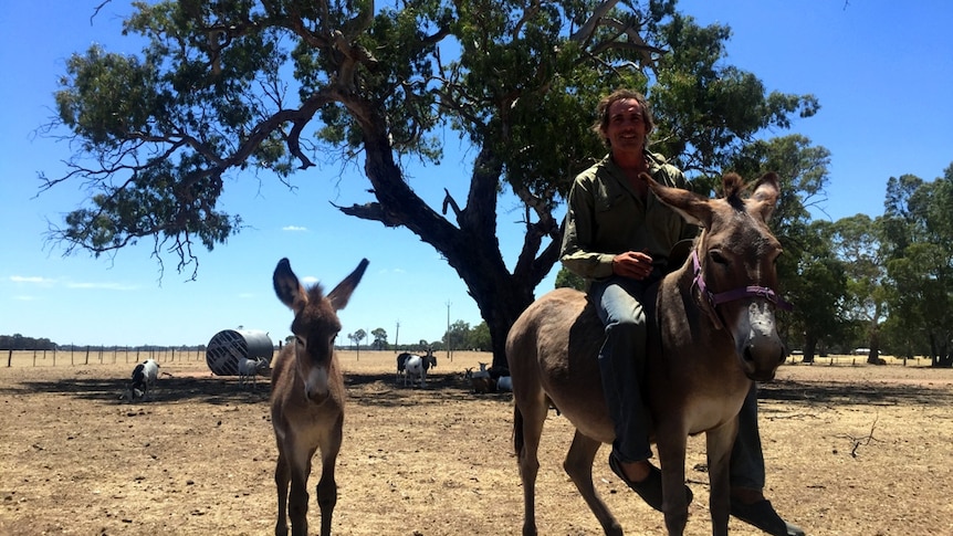 Goat milk farmer Roger Murphy from South Australia's Coonawarra wine region