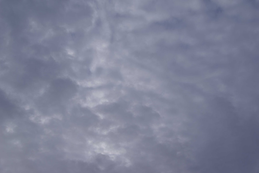 A stratocumulus cloud formation