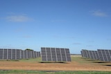 A number of large solar tracking panels.