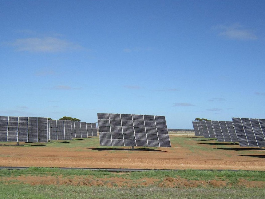 A number of large solar tracking panels.