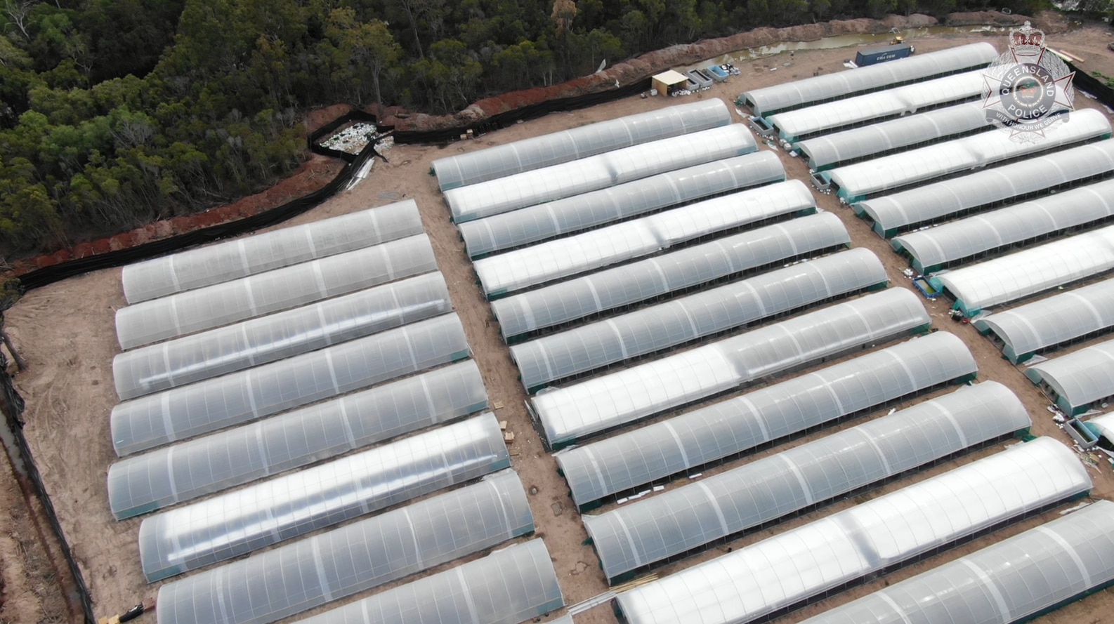 Aerial view of cleared land surrounded by trees. Dozens of long white tubular greenhouses are in three rows on cleared land.
