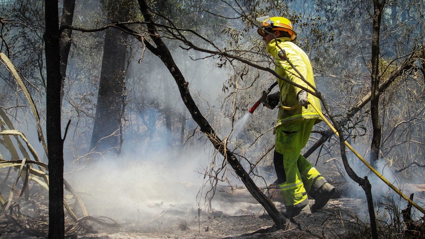 A Queensland firefighter douses flames in bushland