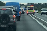Ambulance drives through heavy traffic