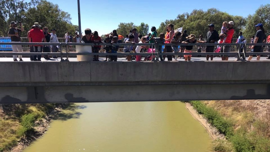 About two dozen people are scattered on the bridge and look down to see a dead kangaroo faceplanted in the low green water