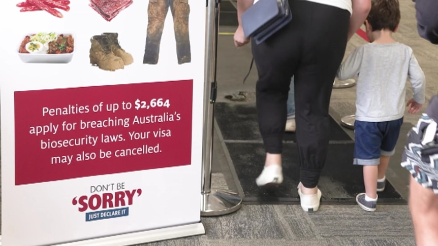 An adult and child walk over a mat designed to kill foot and mouth disease at Perth Airport.