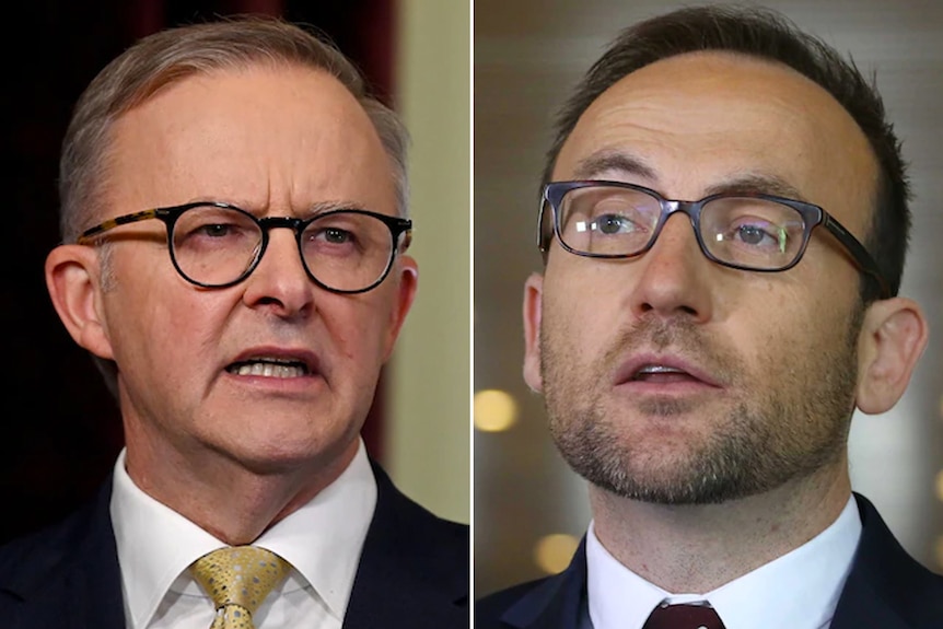 Side by side photos of Anthony Albanese and Adam Bandt, both in dark suits, ties and spectacles