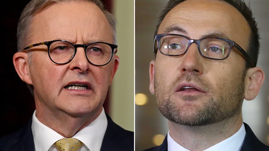 Side by side photos of Anthony Albanese and Adam Bandt, both in dark suits, ties and spectacles