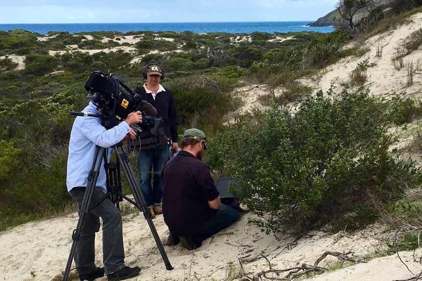 ABC crew film Pat Hodgens as he checks a night camera on Kangaroo Island.