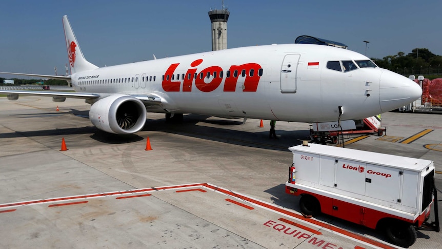 A Lion Air Boeing 737 jet on the tarmac.