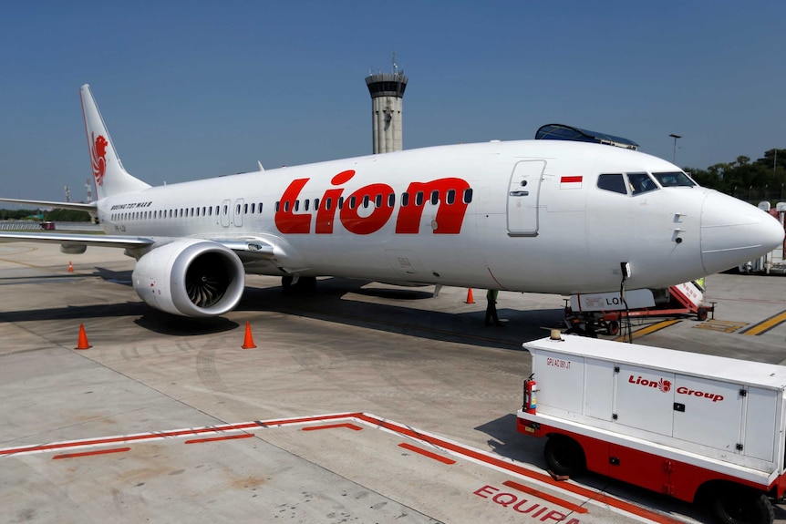 A Lion Air Boeing 737 jet on the tarmac.