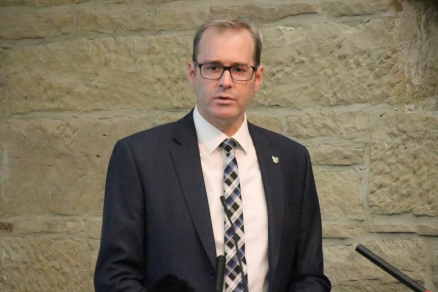 Health Minister Michael Ferguson at a lectern.