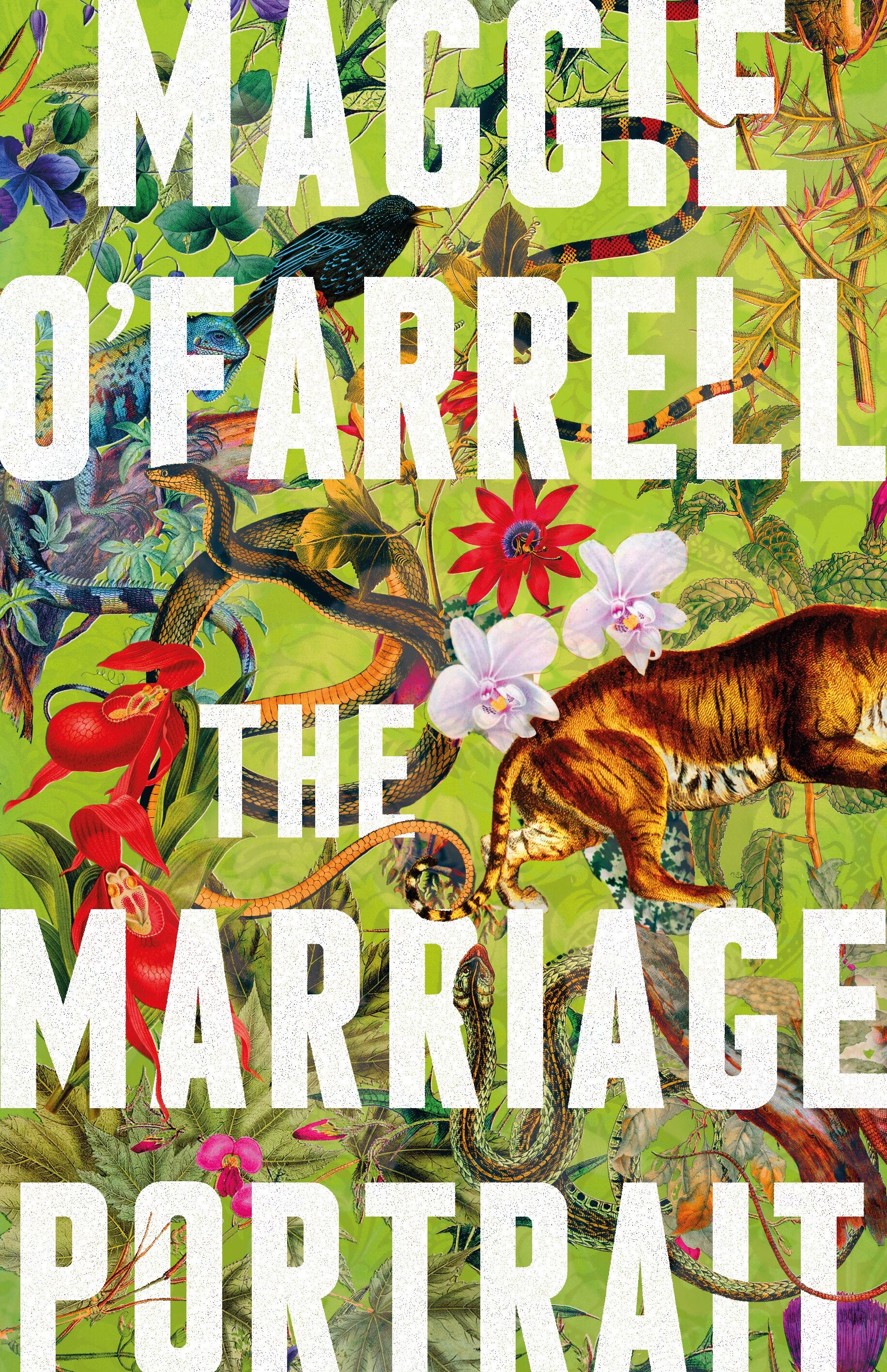 Colourful book cover with text reading The Marriage Portrait by Maggie O'Farrell