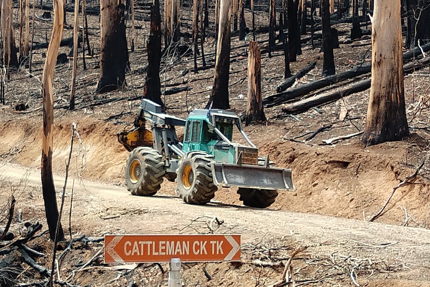 A heavy vehicle on a forest track surrounded by burnt-out trees.
