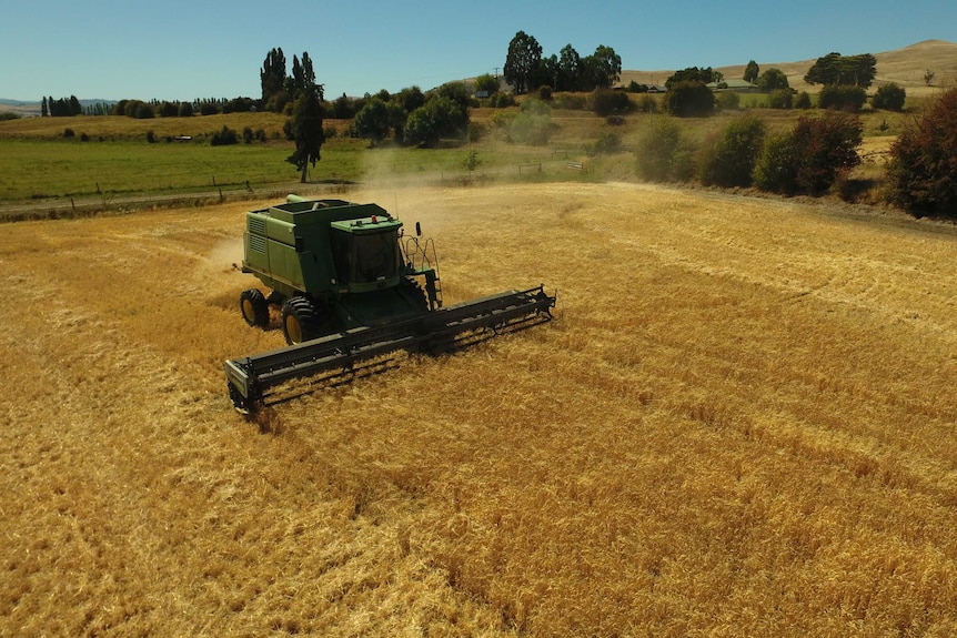 A harvester in a barley field at Lawrenny Estate in Tasmania