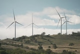 Renewables Rift: Energy rush dividing rural communities